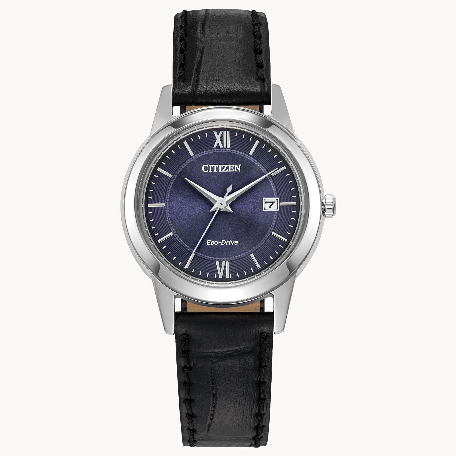 Citizen Classic Eco-Drive Watch