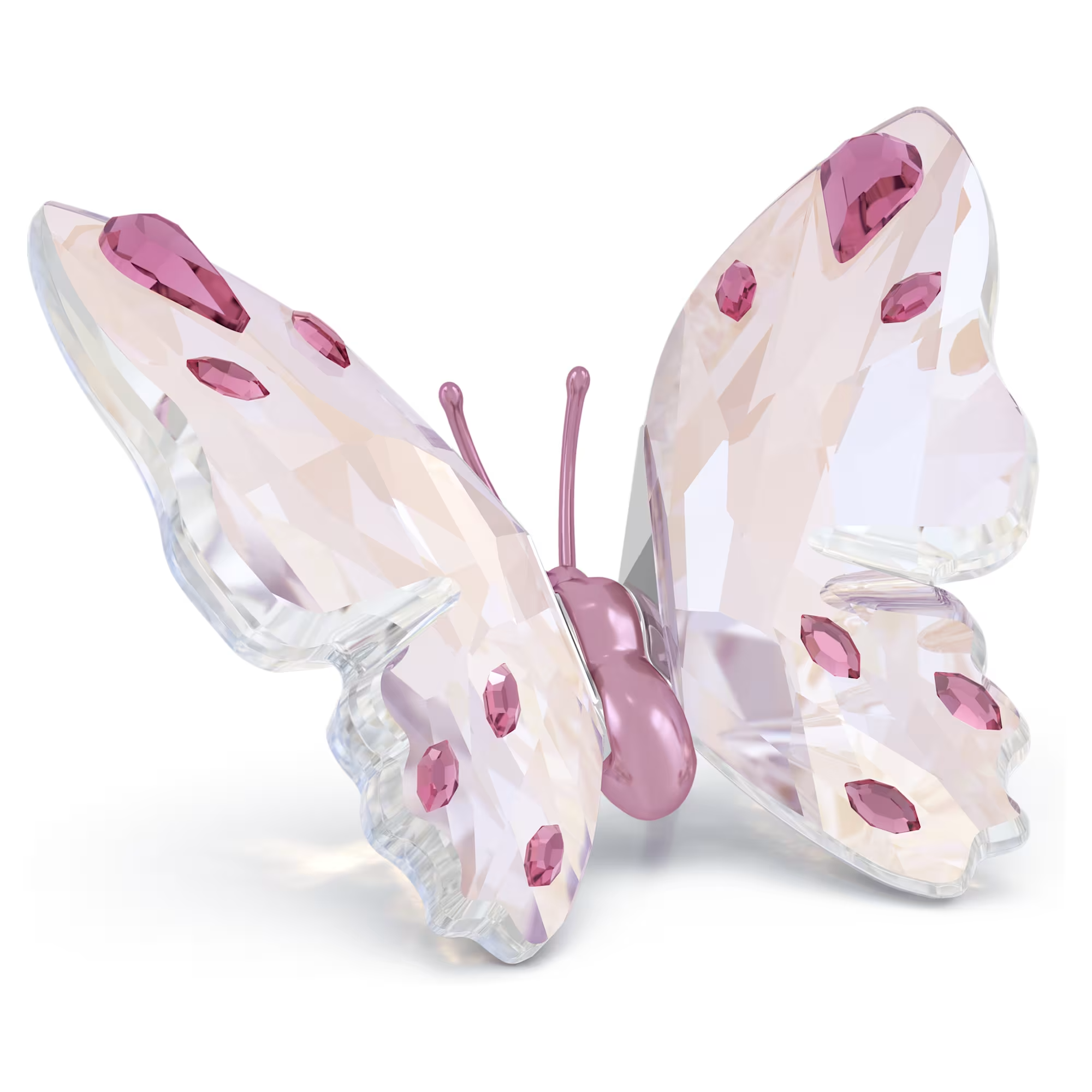 Swarovski Idyllia Butterfly, Pink