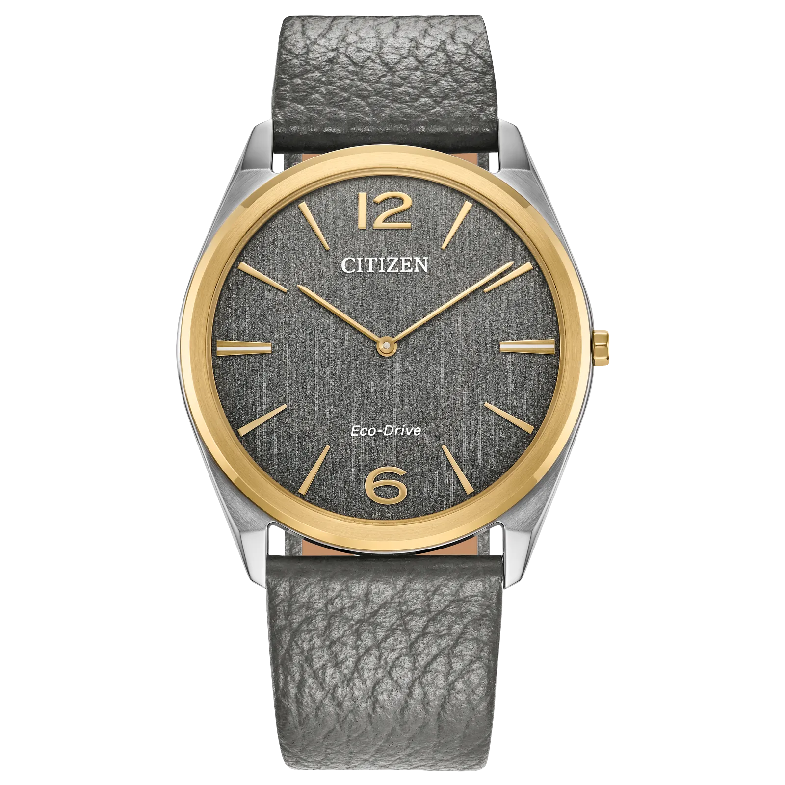 Citizen Suratto Eco-Drive Watch