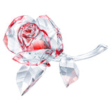 Swarovski Blossoming Rose, Red