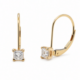 Princess Cut Diamond Leverback Earrings