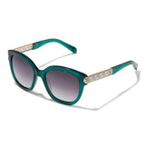 Brighton Intrigue Sunglasses