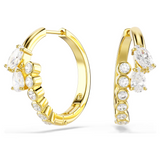 Swarovski Mesmera Hoop Earrings