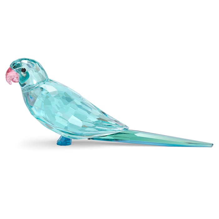 Swarovski Jungle Beats - Blue Parakeet Paco