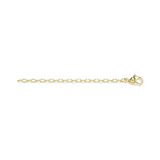 Swarovski Gold-tone Chain Extender, 3"