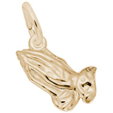 PRAYING HANDS