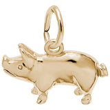 14 KT PIG CHARM