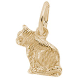 10 KT CAT CHARM