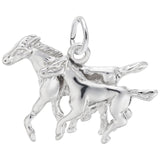 HORSE AND COLT