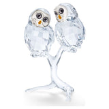 Swarovski Feathered Beauties Owl Couple