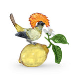 Swarovski Idyllia Royal Flycatcher