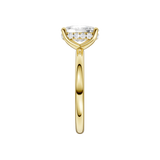 2.5ct Elongated Cushion Lab Grown Diamond Hidden Halo Engagement Ring