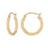 Small Fancy Hoop Earrings