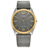 Citizen Suratto Eco-Drive Watch