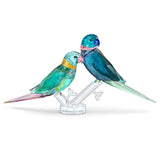 Swarovski Jungle Beats Parakeet Couple Fife & Fifer