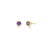 Lafonn February Bezel Birthstone Earrings